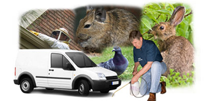 Mossley local van
